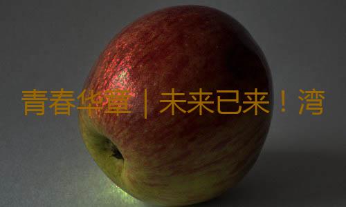 青春华章|未来已来!湾区青年见“圳”智造力量